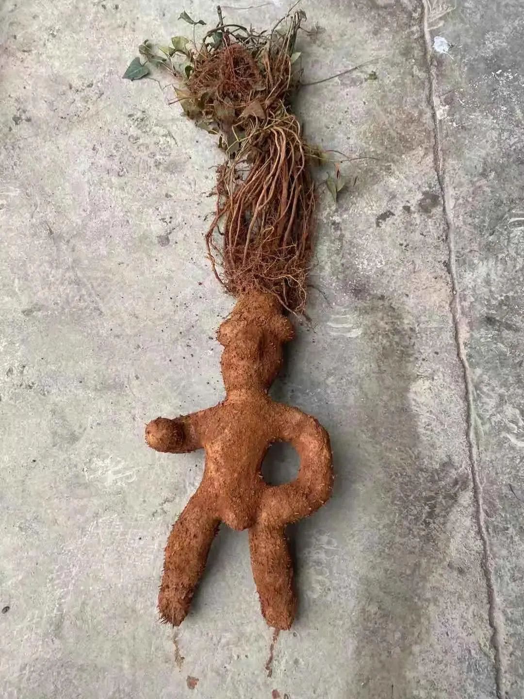 DƬ